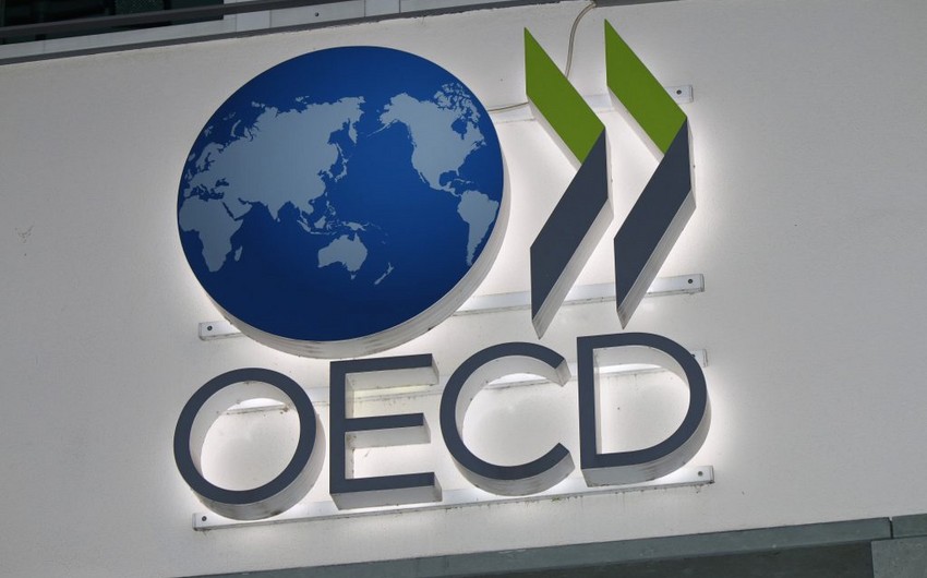 OECD improves its 2024 US GDP forecast