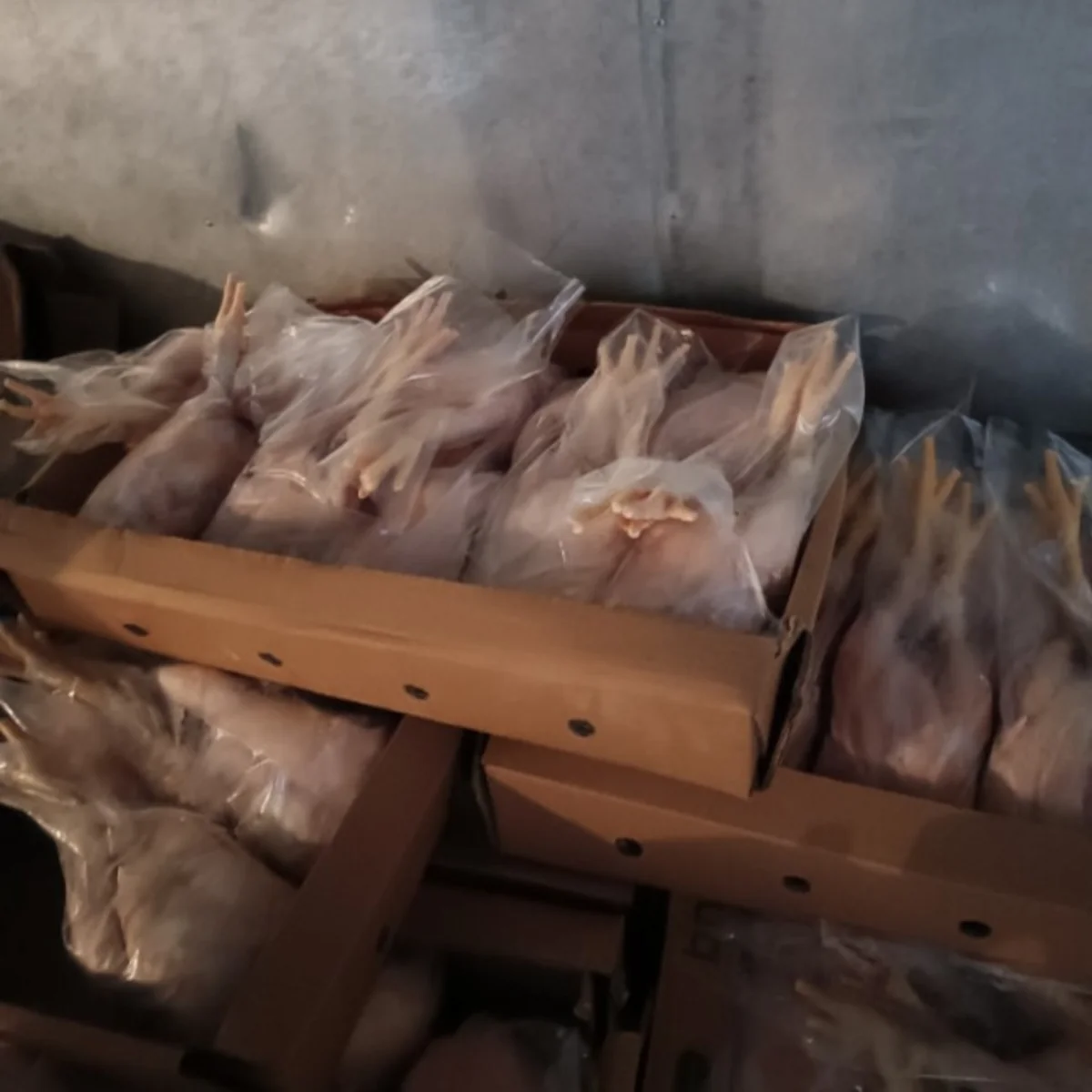 Lənkəranda istehlaka yararsız ət məhsulları aşkarlanıb