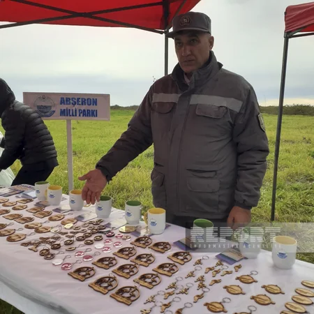 Qızılağac Milli Parkında Flaminqo Festivalı keçirilib - YENİLƏNİB