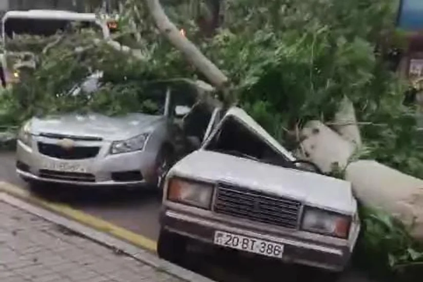 Gəncədə güclü küləyin yaratdığı fəsadlar aradan qaldırılır
