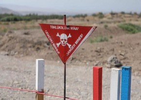 BAMF rəsmisi: Hər il mina qurbanlarının sayının artması təhlükənin davamlı xarakter daşıdığını göstərir