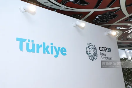 Джемре Далкылыч: Для нас большая честь представлять Турцию на COP29 в братском Азербайджане