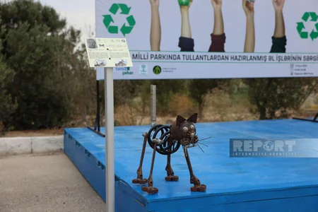 Xəzərin Zirə qəsəbəsi sahilində təmizlik aksiyası keçirilib