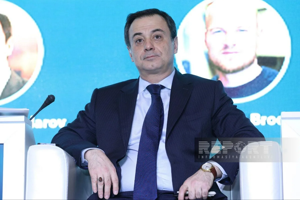 Elşad İskəndərov: Fransada Natəvanın heykəlinə qarşı vandallıq Qərbin radikallaşmasının təzahürüdür