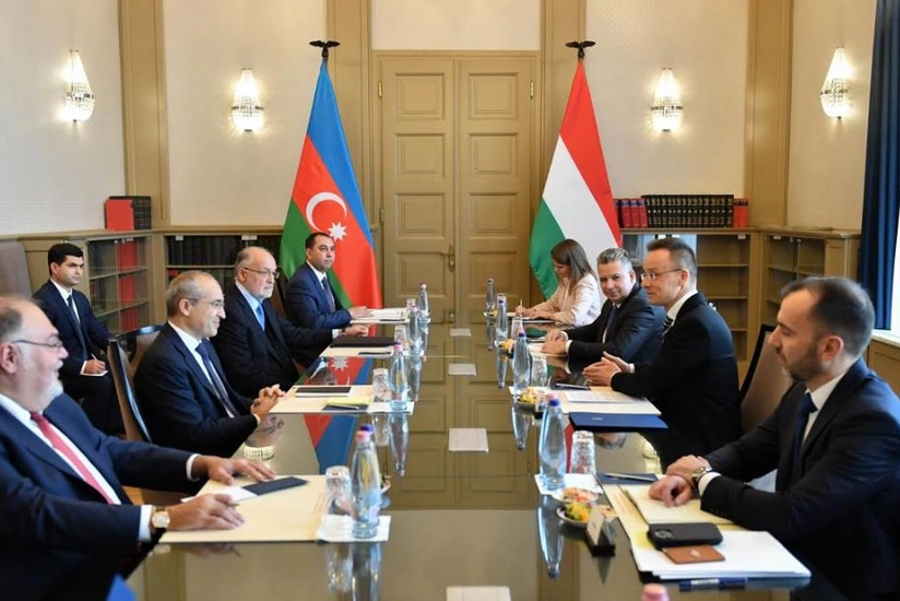Azerbaijan, Hungary mull joint production of medicines