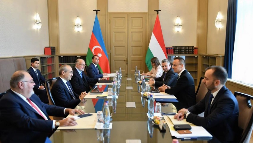 Azərbaycan Macarıstanla dərman vasitələrinin birgə istehsalını müzakirə edib