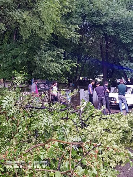 Güclü külək və qasırğa Gürcüstanda ciddi fəsadlar törədib - FOTO
