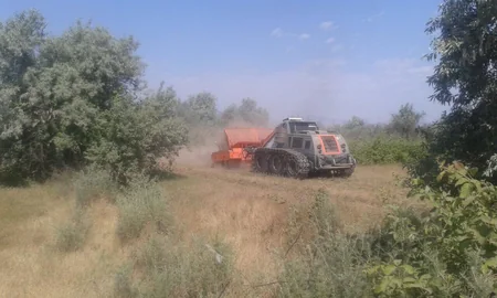 Cocuq Mərcanlıda gün ərzində 994 ədəd qəlpə aşkar edilib