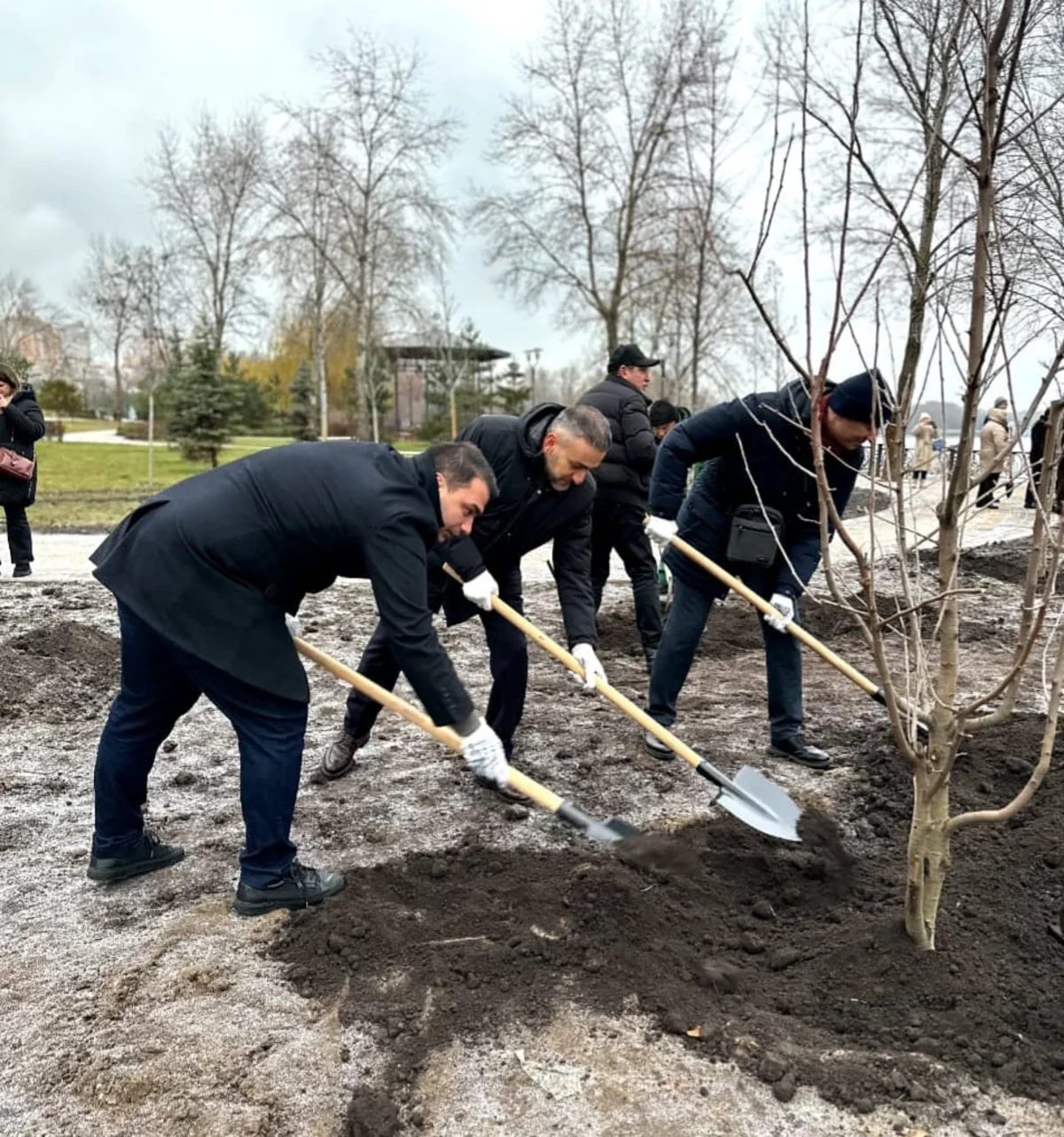 Kiyevdə Azərbaycan-Ukrayna dostluq xiyabanı salınıb