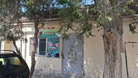22 heyvan kəsimi və ət satışı məntəqəsində nöqsanlar aşkarlanıb