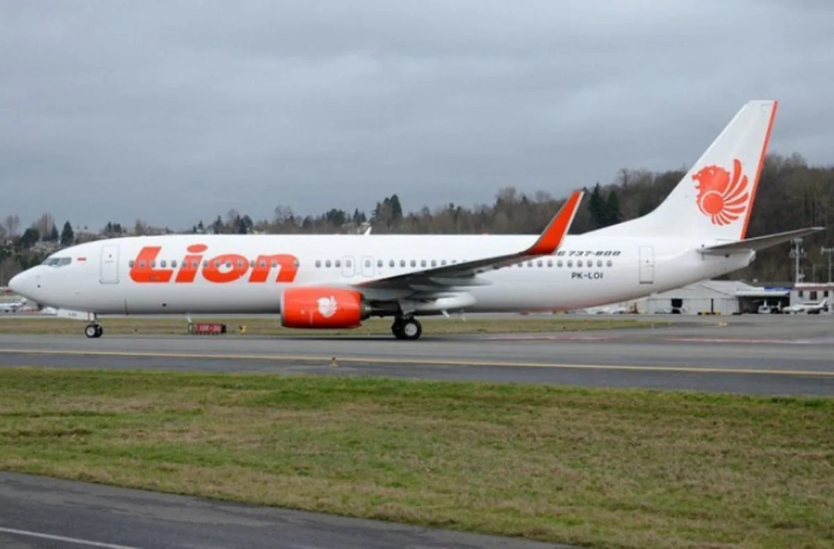 Авиакомпании предупредили об опасности срыва новых Boeing 737 в пике