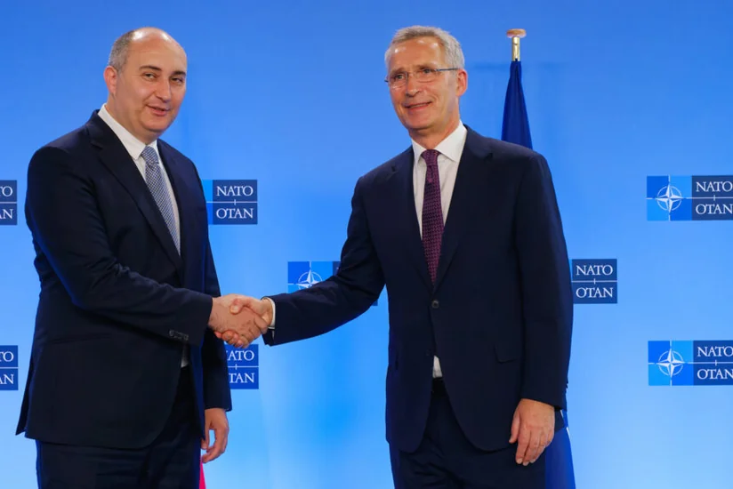 NATO Baş katibi Gürcüstanın müdafiə naziri ilə görüşüb