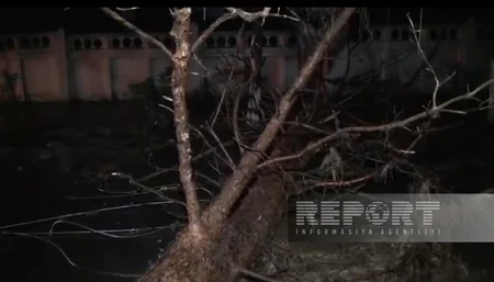 Сильный ветер и ливень вызвали ряд последствий в Гёйчае