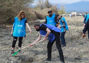 “Yaşıl Marafon” çərçivəsində Balakəndə 850 ədəd tut ağacı əkilib