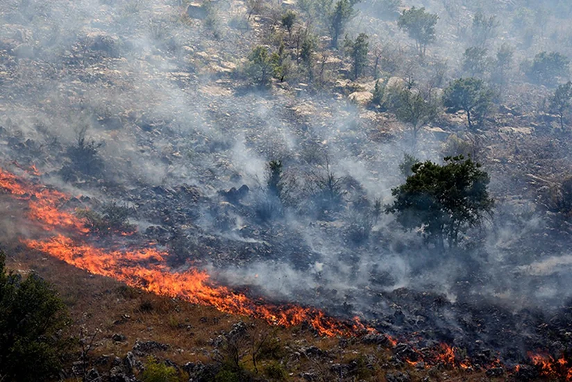 Крупный лесной пожар угрожает столице Черногории