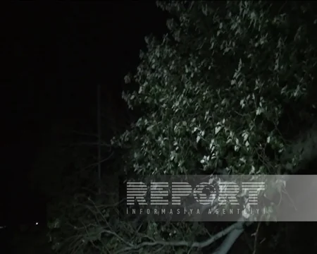 Goranboy rayonunda aşan ağac kəndi internetsiz qoyub