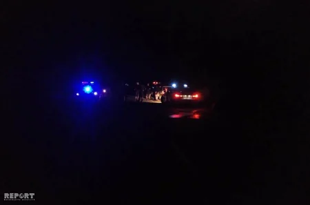 В Гахе лошадь стала причиной аварии, пострадала женщина - ФОТО