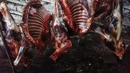 DBNX: Cəlilabadda at kəsimi ilə məşğul olan şəxs qanunsuz əməlini yenidən davam etdirib
