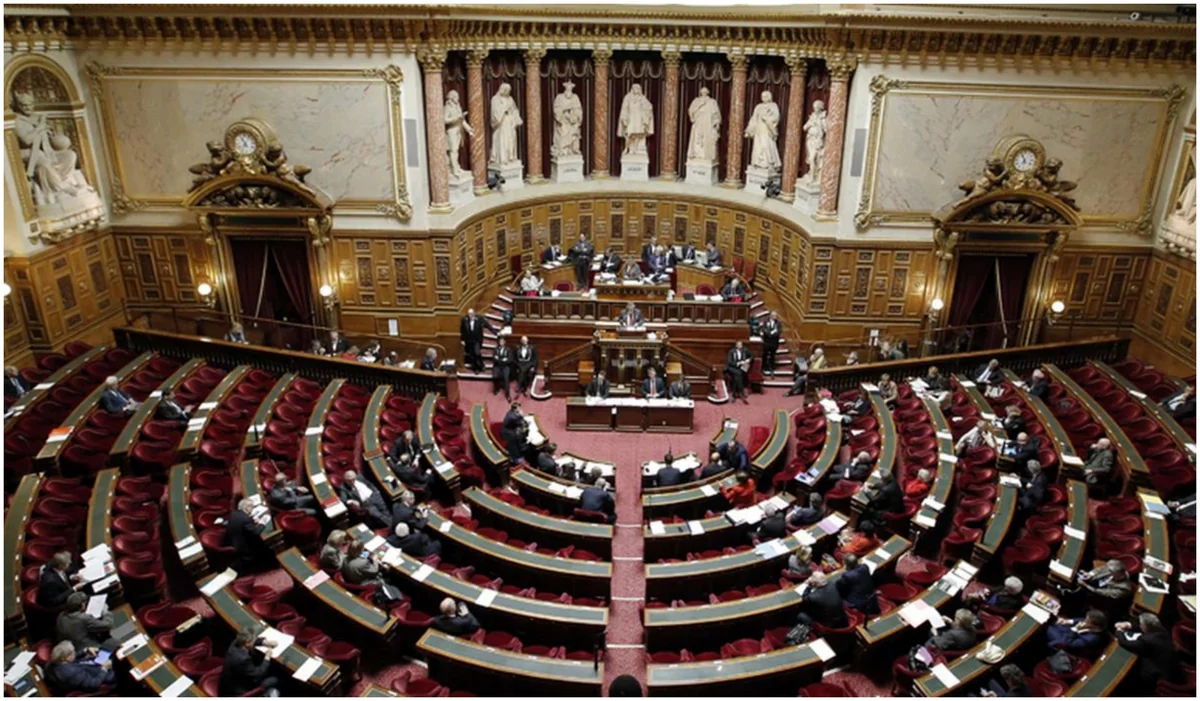 Makronla eyni düşünən senatorlar - neonasist təfəkkürün daşıyıcıları - ŞƏRH