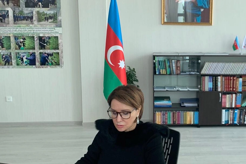 Azərbaycan və Qazaxıstan tələbələri ilə onlayn görüş keçirilib