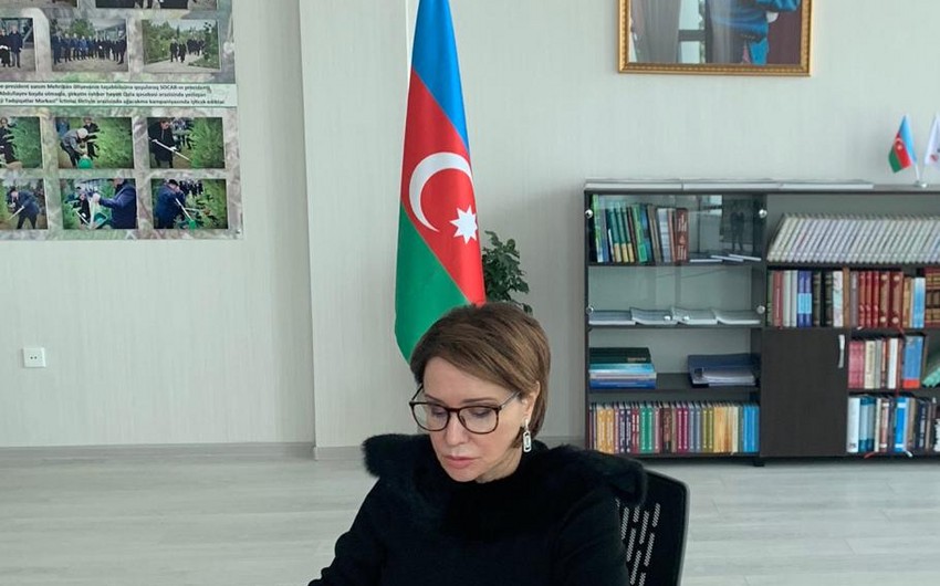 Azərbaycan və Qazaxıstan tələbələri ilə onlayn görüş keçirilib