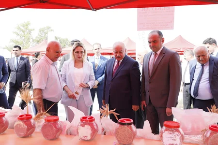 Ağcabədidə Aqrar İnnovasiya Festivalı keçirilib