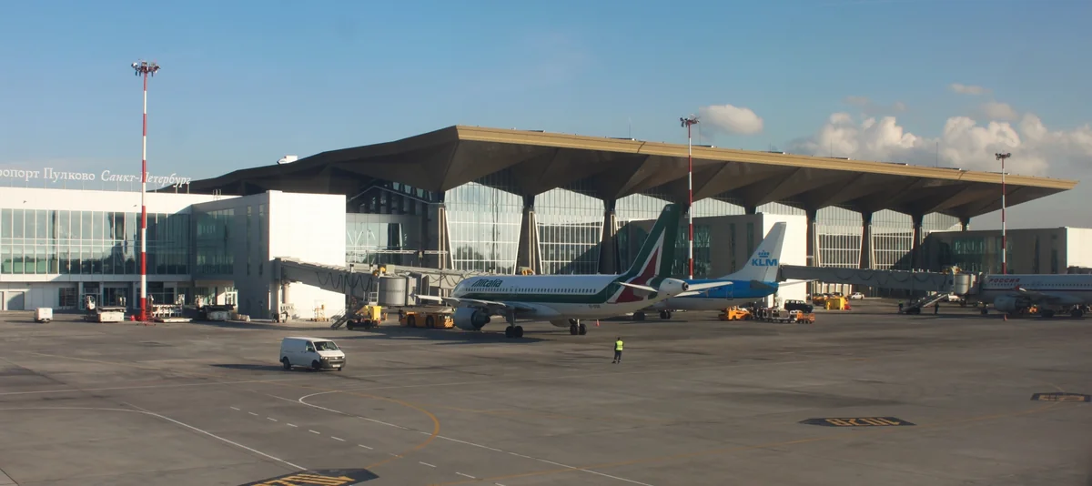 Flights delayed at St Petersburg airport due to bee infestation