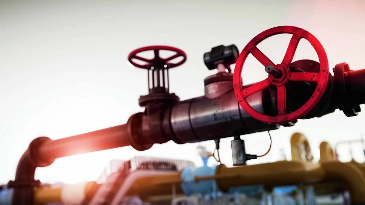 Суд разрешил Shell продать ее долю в салымском СП с Газпром нефтью