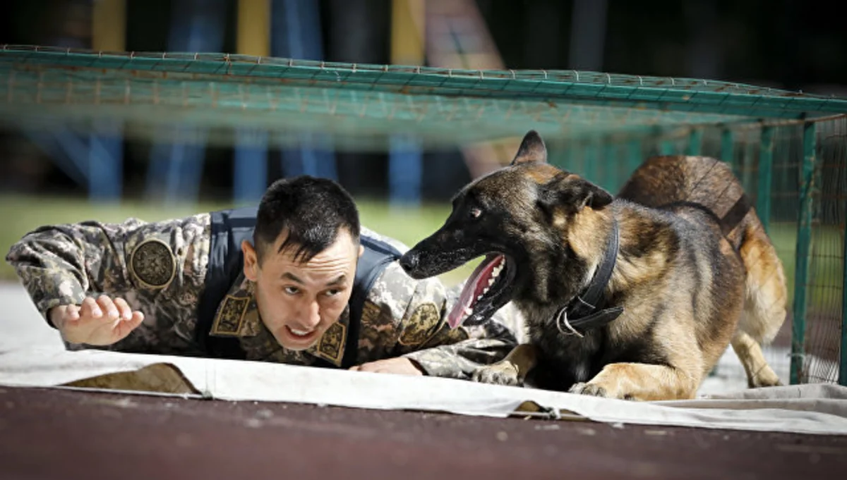 11 terrorist plots were thwarted in Kazakhstan this year