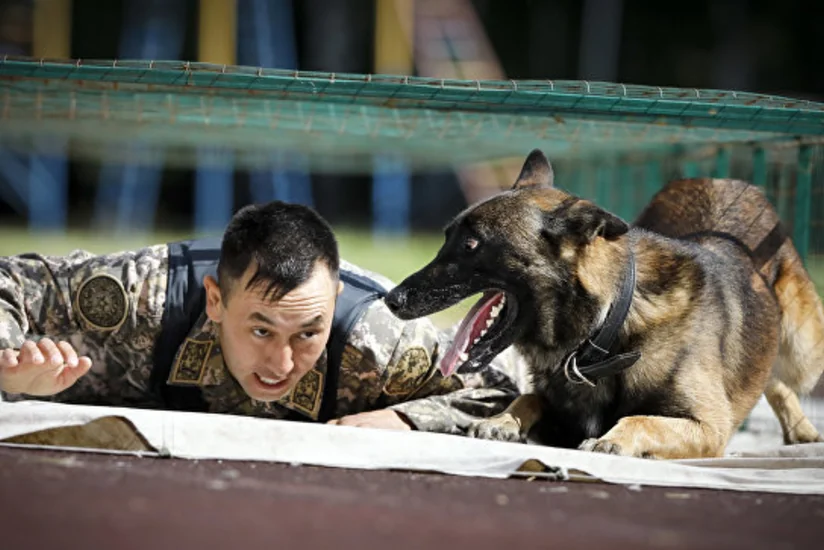 11 terrorist plots were thwarted in Kazakhstan this year
