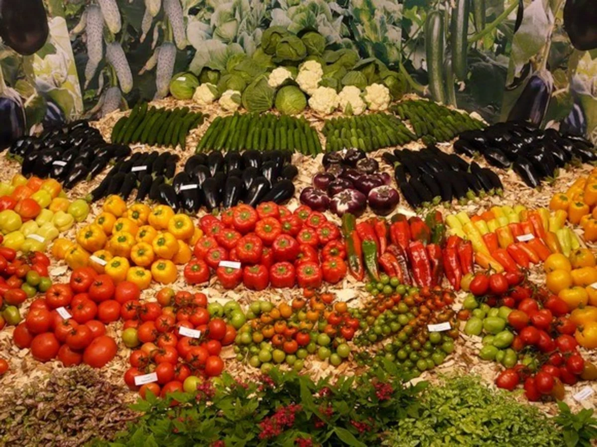 ​Россия увеличила импорт сельхозпродукции из Азербайджана на 80%