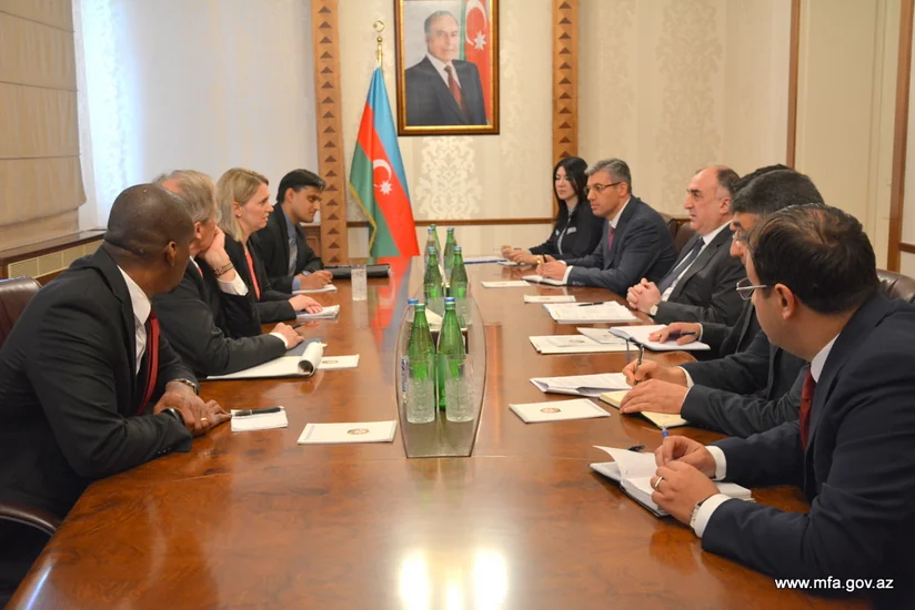 Бриджит Бринк: США придают особое значение развитию сотрудничества с Азербайджаном