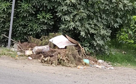 Bərdədə ətraf mühitin çirkləndirilməsi ilə bağlı 15 nəfər cərimələnib