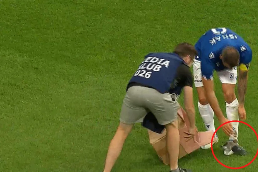 Qarabağın oyununda meydana quş daxil olub