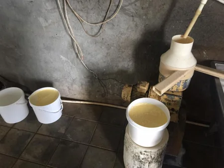 Masallıda qanunsuz pendir sexi aşkarlanıb - FOTO