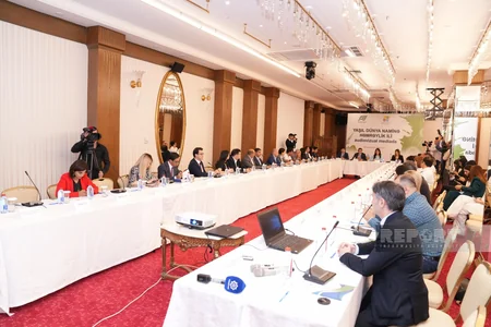 “Yaşıl dünya naminə həmrəylik ili audiovizual mediada” adlı seminar keçirilib