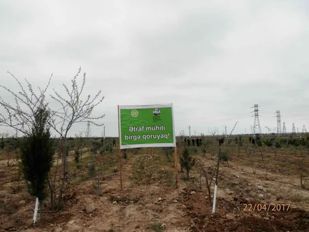 Bakıda Beynəlхalq Yer Günü ilə əlaqədar iməcilik keçirilib