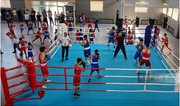 В Лянкяране прошла церемония открытия Южного регионального боксерского центра