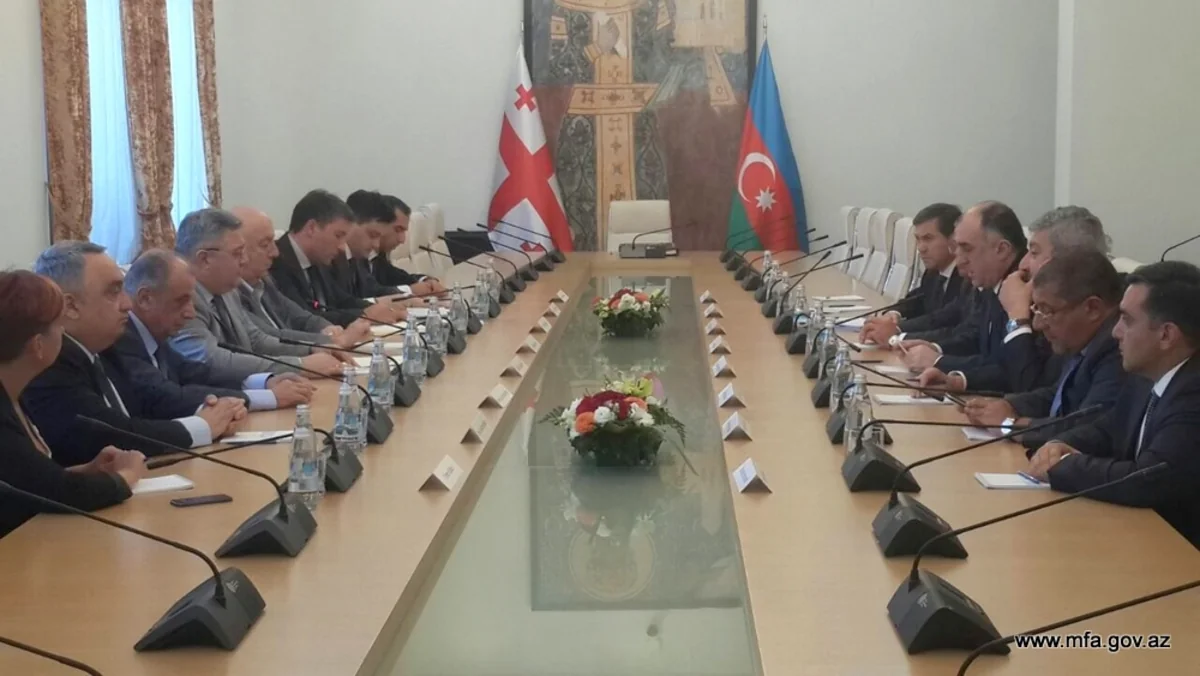 Elmar Məmmədyarov Gürcüstan parlamentinin sədri ilə görüşüb