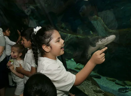 Bakı Zooloji Parkında 1 iyun - Uşaqların Beynəlxalq Müdafiəsi Günü ilə bağlı ilk tədbir keçirilib