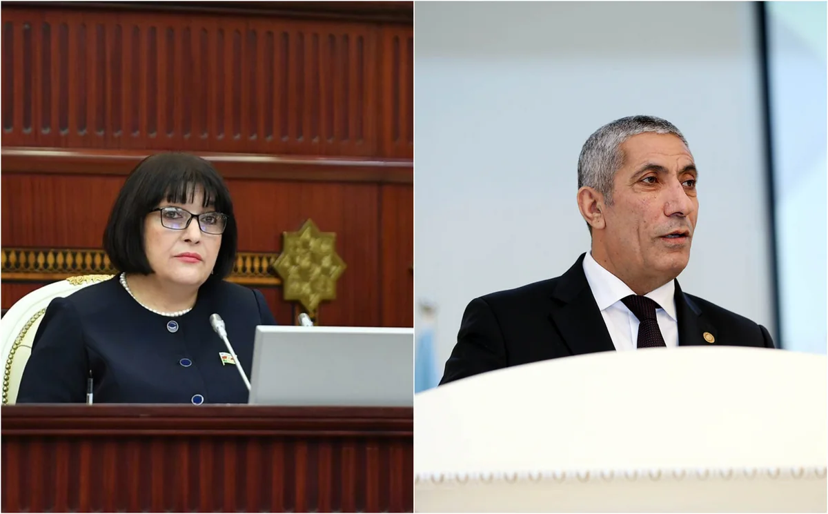 Sahibə Qafarova Siyavuş Novruzovun təklifindən danışdı