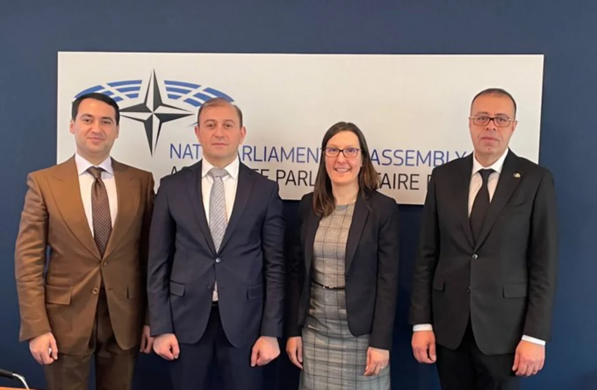 Delegation of Milli Majlis discusses Azerbaijan's cooperation with NATO