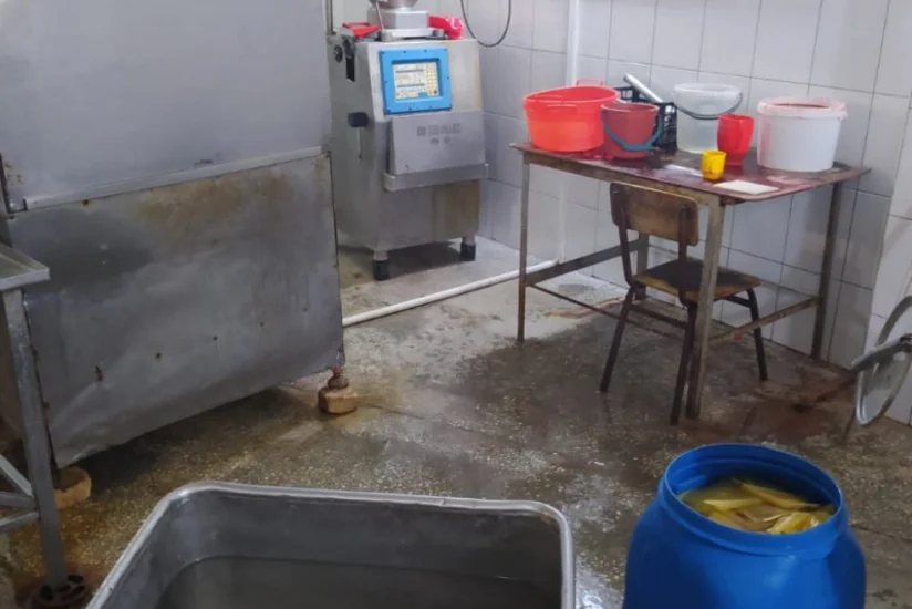Göygöldə kolbasa istehsalı müəssisəsində nöqsanlar aşkarlanıb