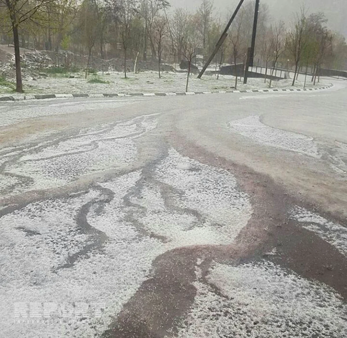 Qaxa dolu yağıb, meyvə ağaclarına ziyan dəyib - FOTO