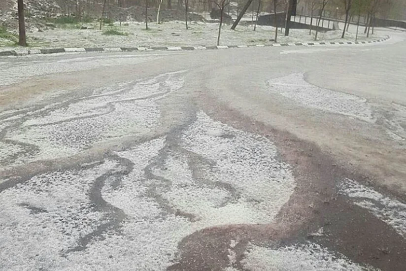 Qaxa dolu yağıb, meyvə ağaclarına ziyan dəyib - FOTO