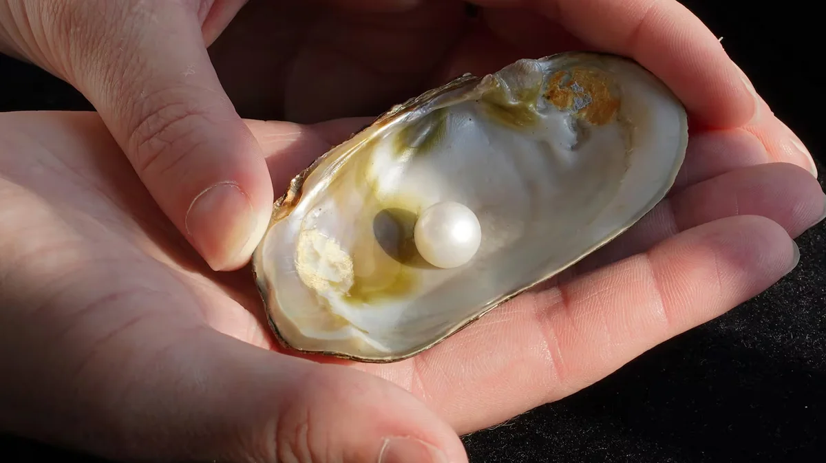 Freshwater pearl to stay in Scotland after selling for more than £93,000