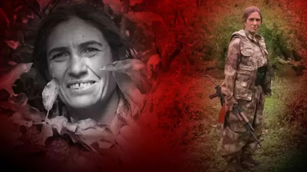 Turkish intelligence neutralizes senior PKK terrorist