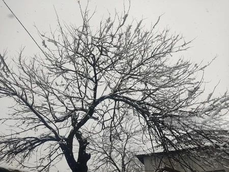 İlisuya 35 santimetr qar yağıb - FOTOREPORTAJ
