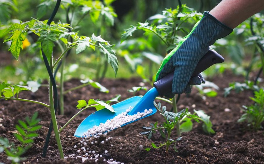 Azerbaijan reduces cost of importing fertilizers by over 15%