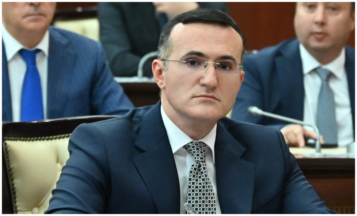 Nazir müavini: Bu gün bir icra məmurunun ortalama iş yükü 2800-2900 icra sənədidir